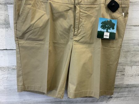 Tan Shorts Clothes Mentor, Size 16 on Sale