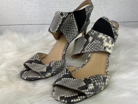 Snakeskin Print Shoes Designer Michael Kors, Size 9.5 Online now