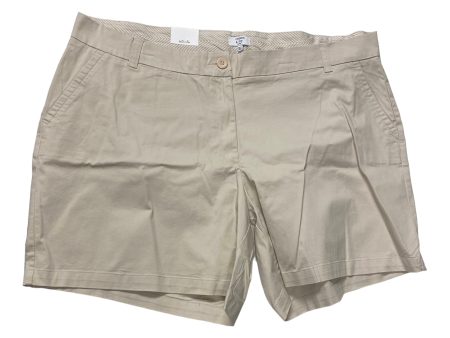 Tan Shorts Crown And Ivy, Size 24w Cheap