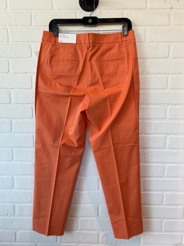 Orange Pants Cropped Ann Taylor, Size 6 Discount