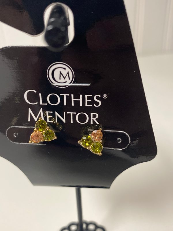 Earrings Stud Clothes Mentor, Size 1 Online now