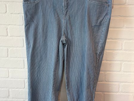 Blue & White Pants Cropped Chicos, Size 16 Discount