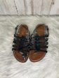 Black & Brown Sandals Flats Sam Edelman, Size 7 Sale