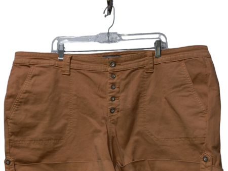 Tan Shorts Torrid, Size 3x Discount