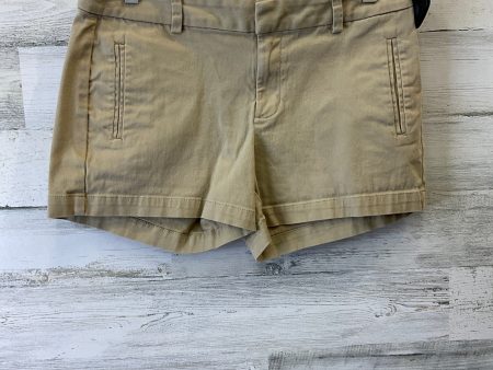 Tan Shorts Ana, Size 6 Sale